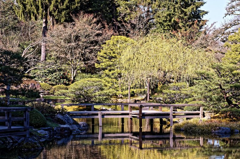 Seattle Japanese Garden — Seattle