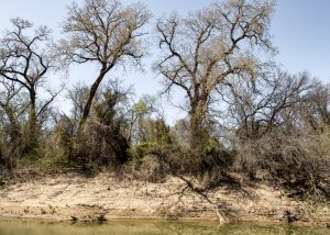 River Legacy Parks — Arlington