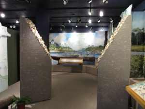 Timucuan Ecological Preserve — Jacksonville