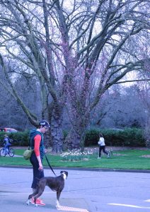 Woodland Park Zoo — Seattle