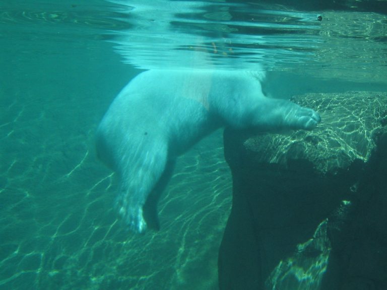 Denver Zoo — Denver