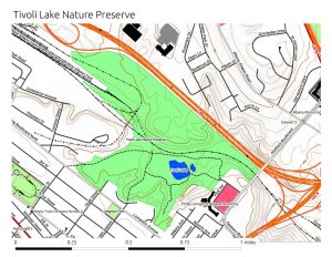 Tivoli Lake Preserve — Albany