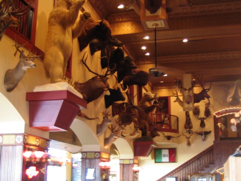 Buckhorn Saloon & Museum — San Antonio