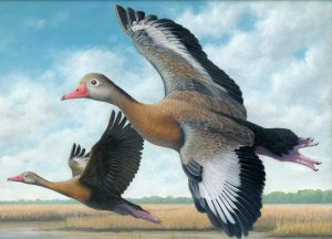 The Painted Duck — Atlanta