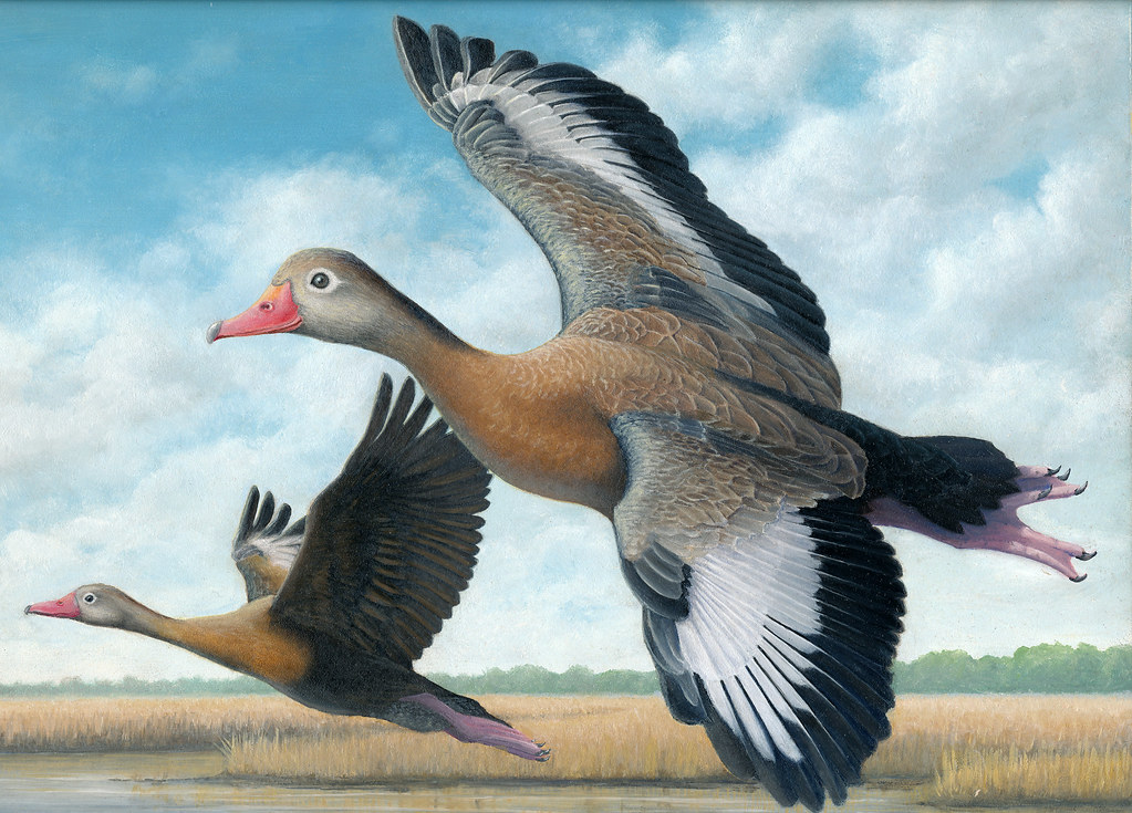 The Painted Duck — Atlanta