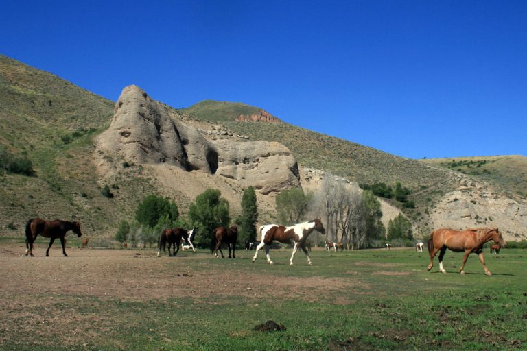 Mill Iron Ranch — Jackson Hole