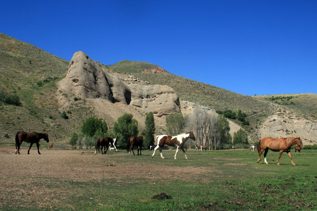 Mill Iron Ranch — Jackson Hole
