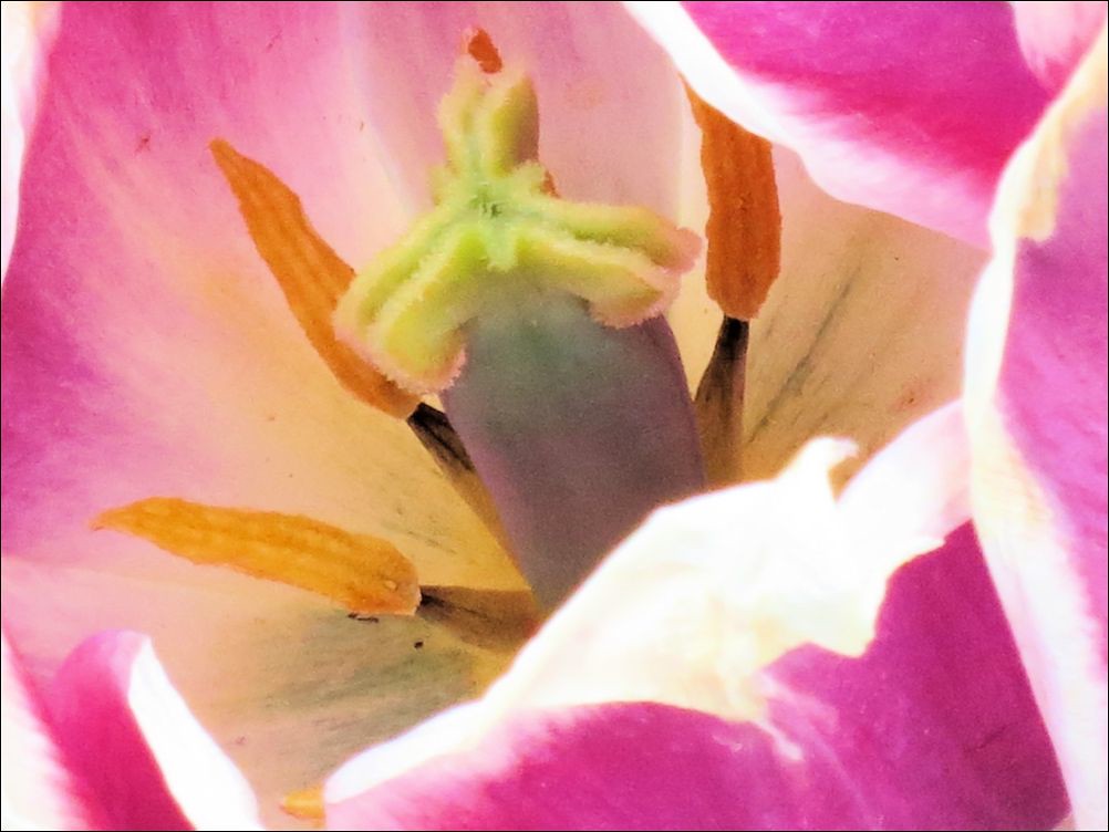 Lauritzen Gardens — Omaha