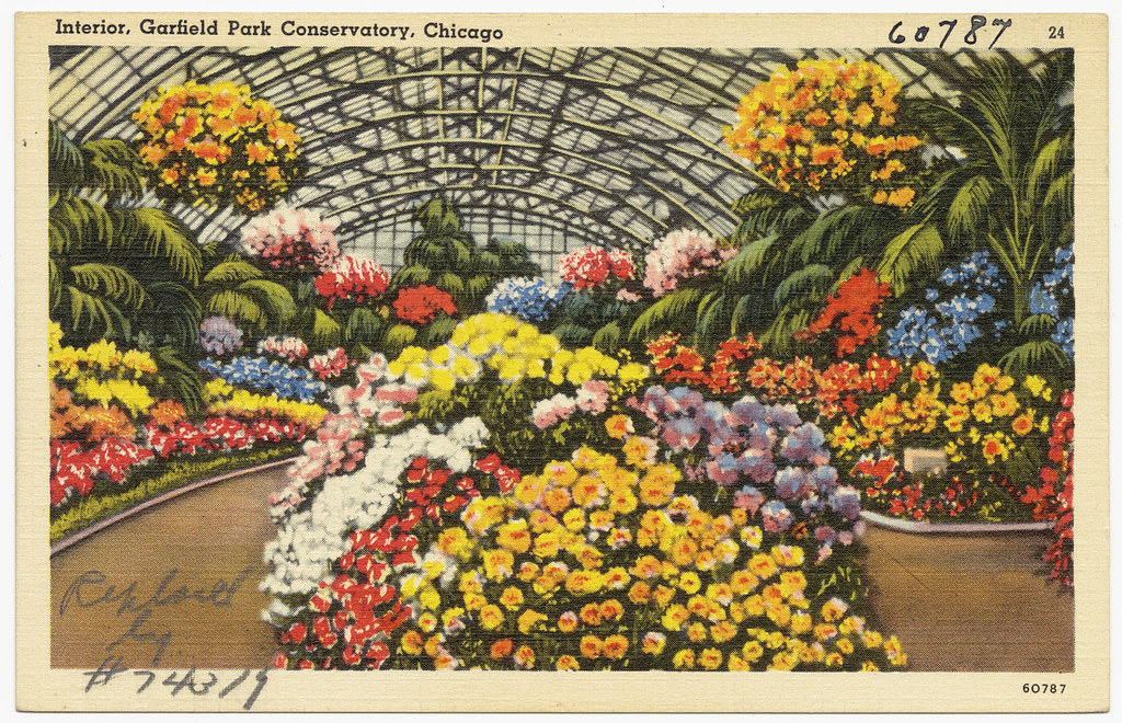Garfield Park Conservatory — Chicago