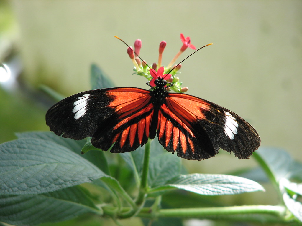 Peggy Notebaert Nature Museum — Chicago