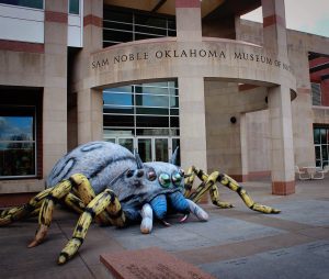 Sam Noble Oklahoma Museum of Natural History — Oklahoma City