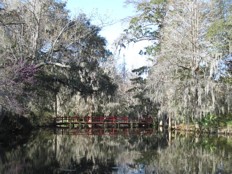 Magnolia Plantation and Gardens — Charleston