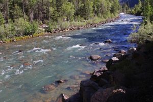 Durango & Silverton Narrow Gauge Railroad — Durango