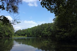 Aldridge Botanical Gardens — Hoover