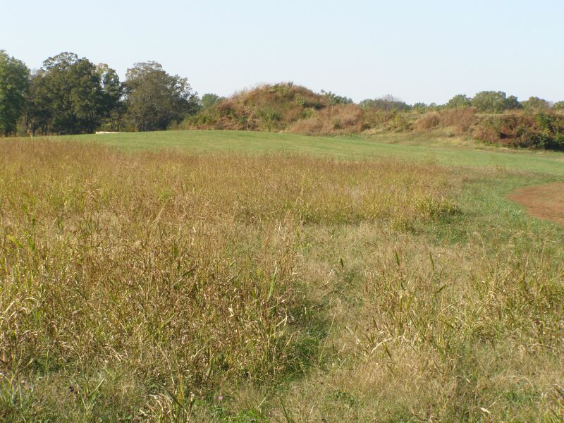 Angel Mounds State Historic Site — Evansville