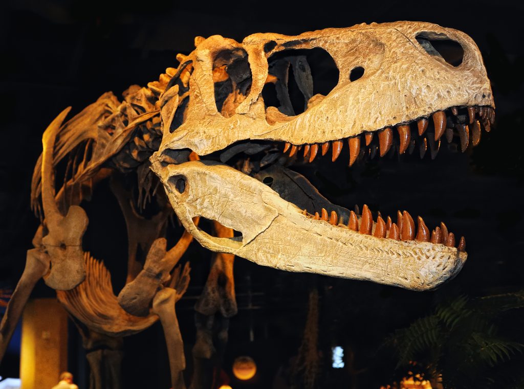 McWane Science Center — Birmingham