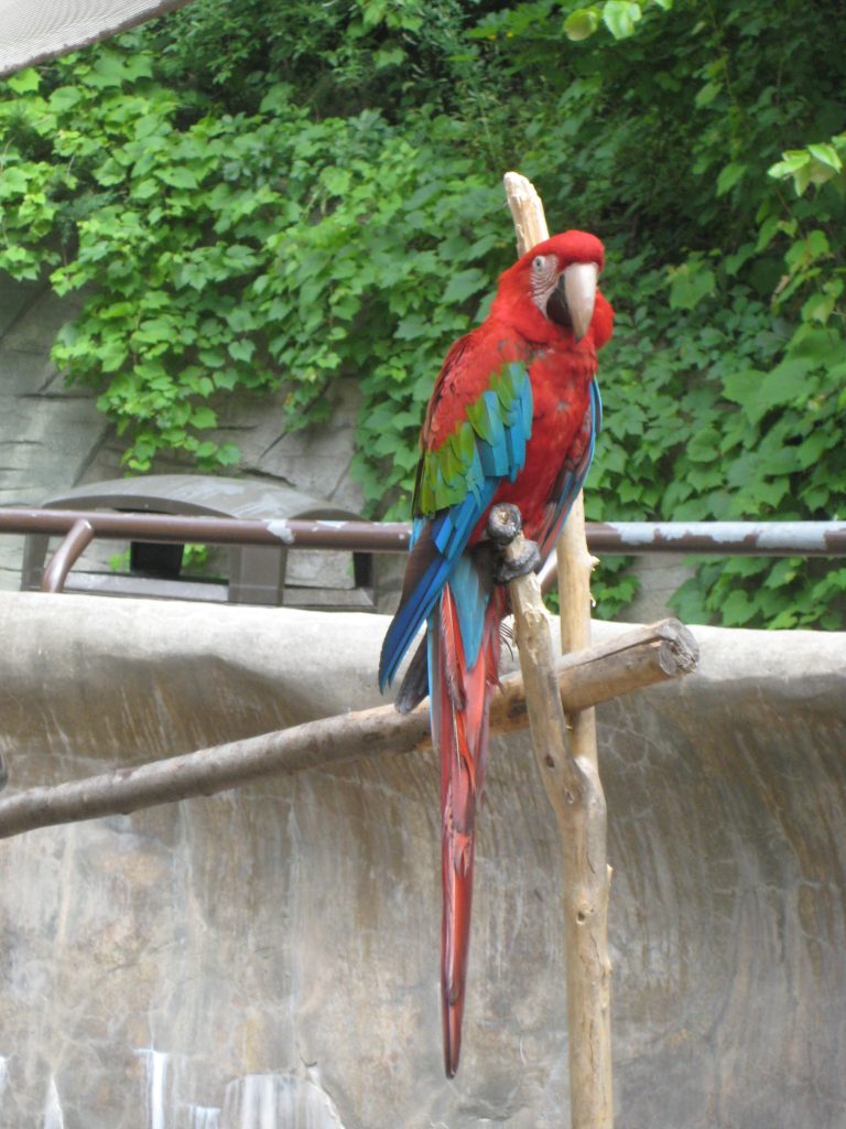 John Ball Zoo — Grand Rapids