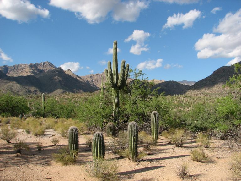 Sabino Canyon Recreation Area — Tucson