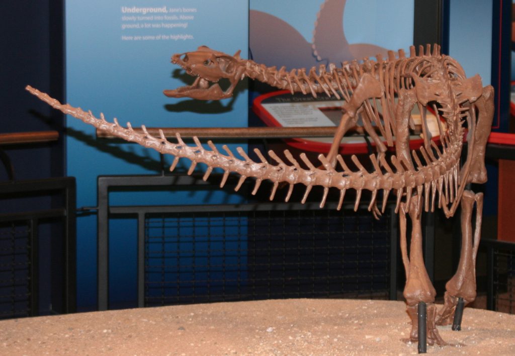 Burpee Museum of Natural History — Rockford