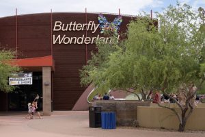 Butterfly Wonderland — Scottsdale