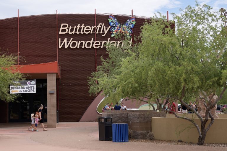 Butterfly Wonderland — Scottsdale