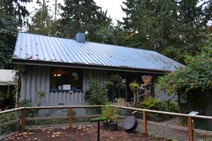 Cascades Raptor Center — Eugene