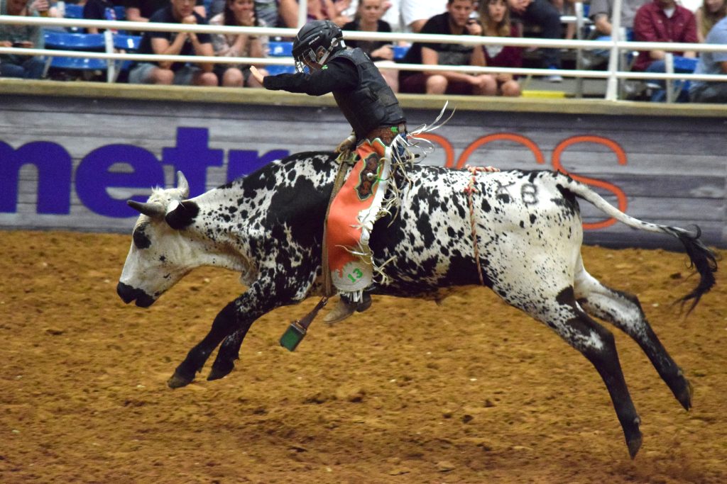 Mesquite Championship Rodeo — Mesquite
