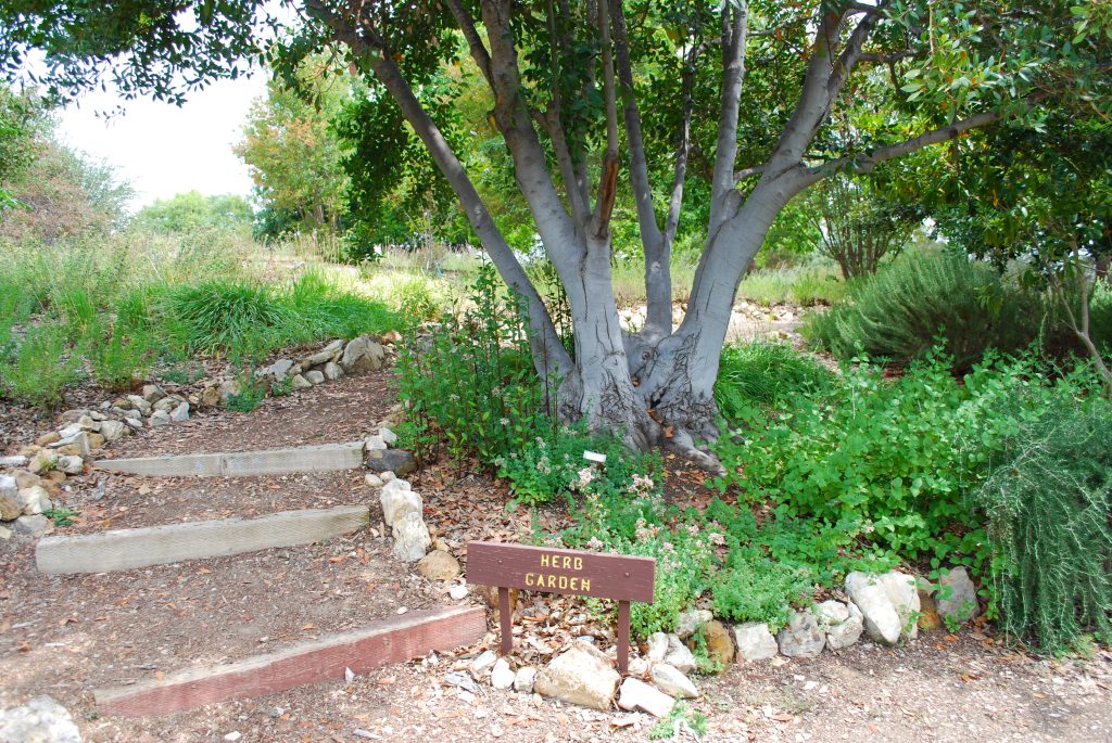 Conejo Valley Botanic Garden — Thousand Oaks