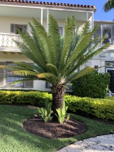 Ann Norton Sculpture Gardens — West Palm Beach