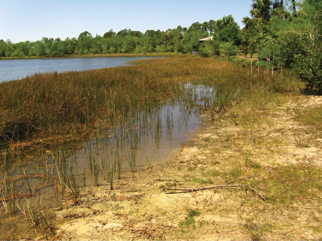 Grassy Waters Preserve — West Palm Beach