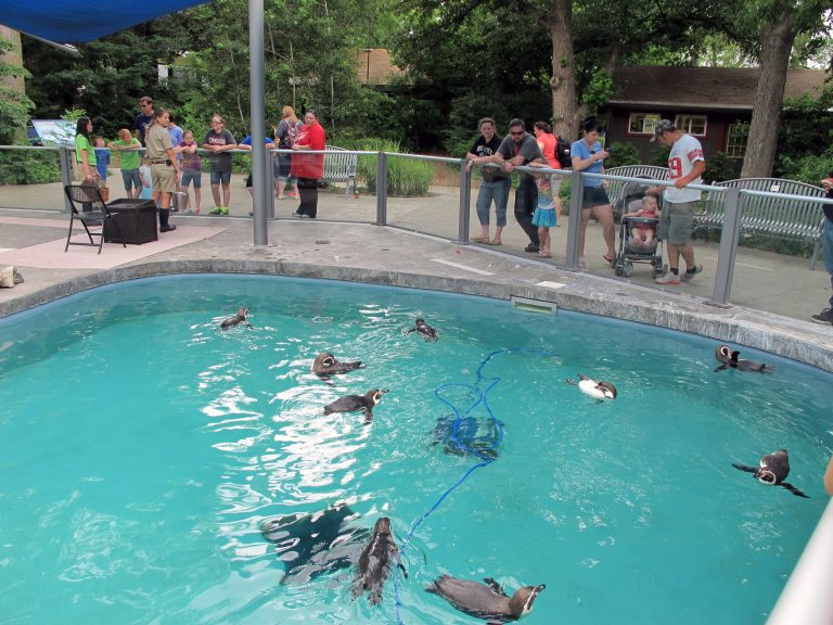 Lincoln Children's Zoo — Lincoln