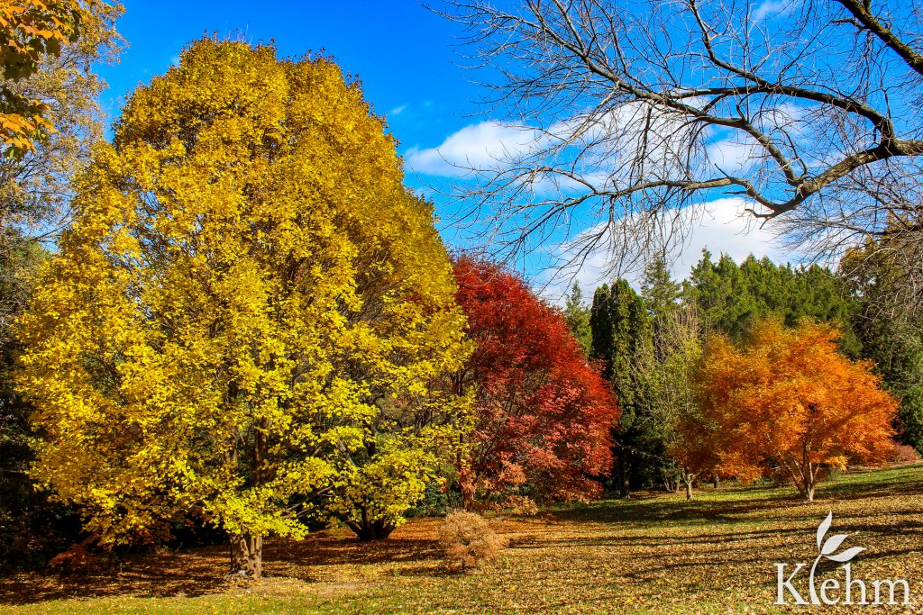 Klehm Arboretum & Botanic Garden — Rockford