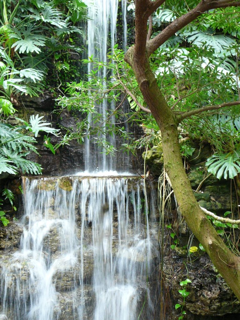 Krohn Conservatory — Cincinnati