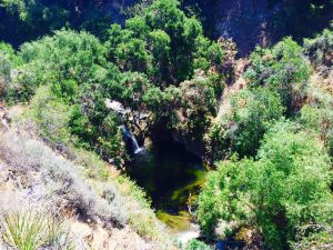 Wildwood Regional Park — Thousand Oaks