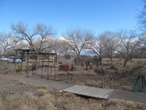 Rio Grande Nature Center State Park — Albuquerque