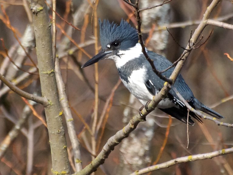 Washington Park Arboretum — Seattle