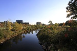 Mill River Park — Stamford