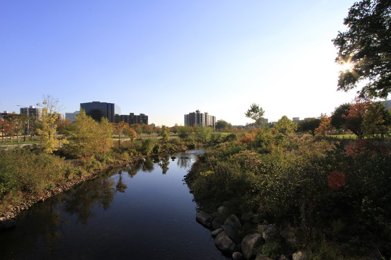 Mill River Park — Stamford