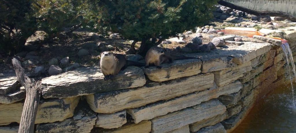 Phillips Park Zoo — Aurora