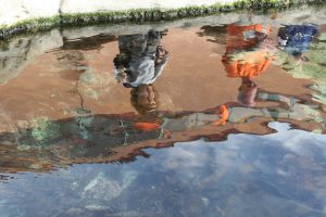 Birch Aquarium at Scripps Institution of Oceanography — San Diego