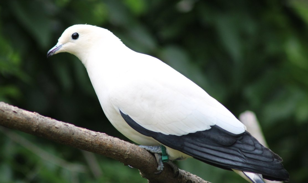 Kansas City Zoo & Aquarium — Kansas City