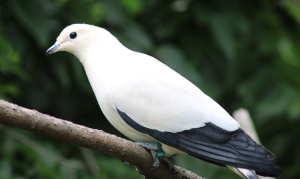 Kansas City Zoo & Aquarium — Kansas City