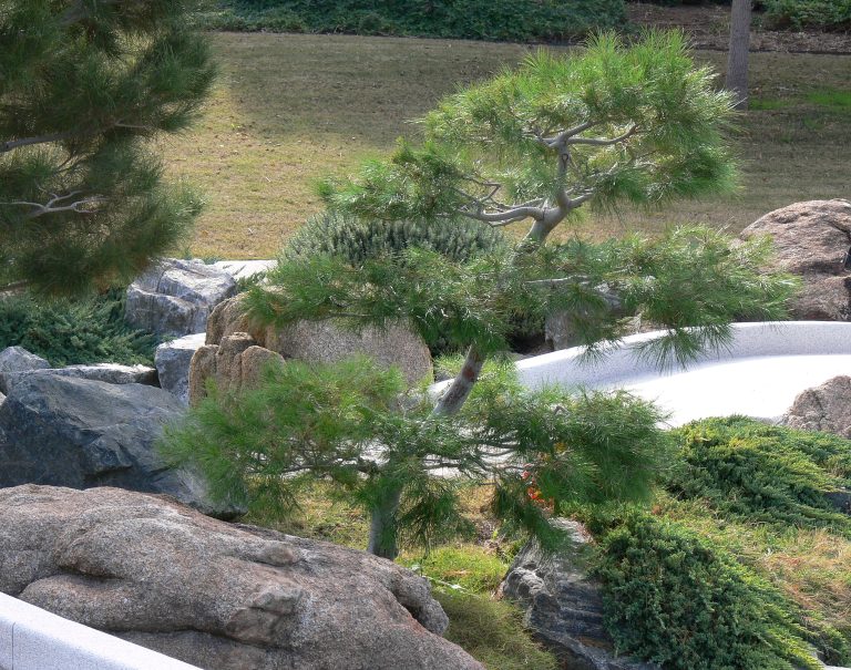 Japanese Friendship Garden of Phoenix (Ro Ho En) — Phoenix