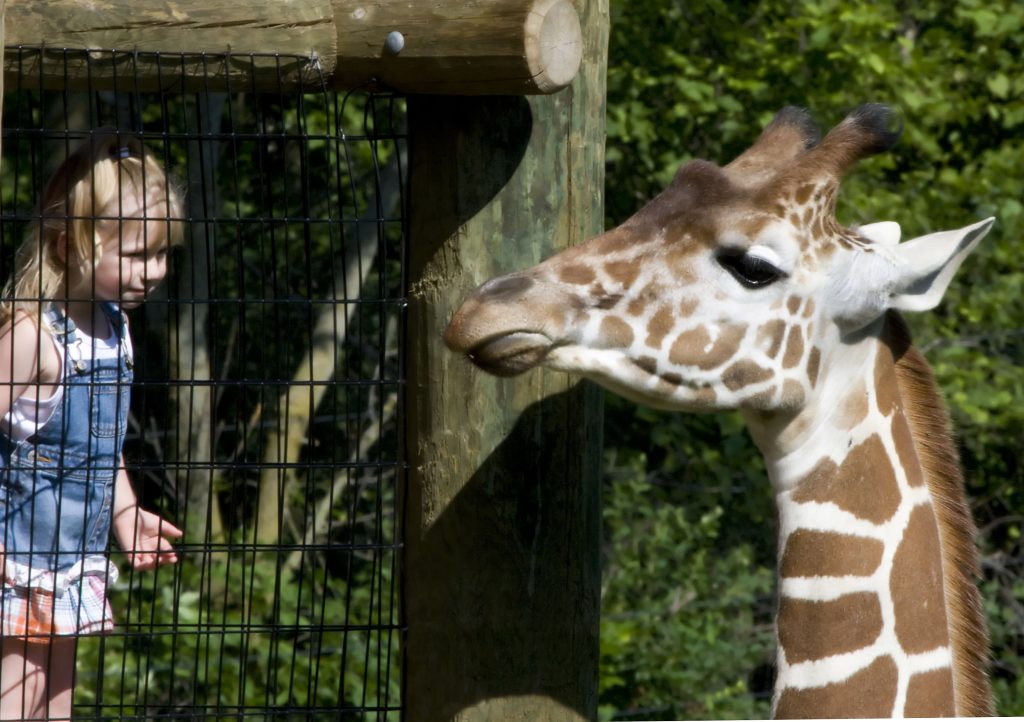 Fort Wayne Children's Zoo — Fort Wayne