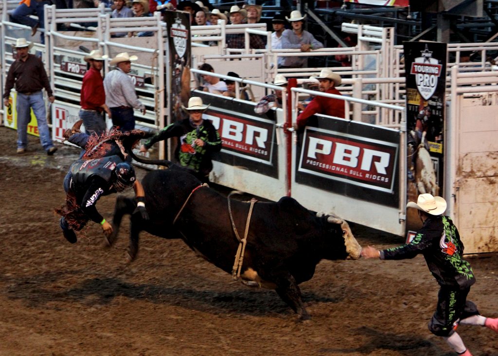 A Springdale Tradition Returns: 82nd Annual Rodeo of the Ozarks Gets Underway