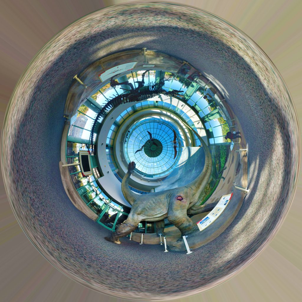 North Carolina Museum of Natural Sciences — Raleigh