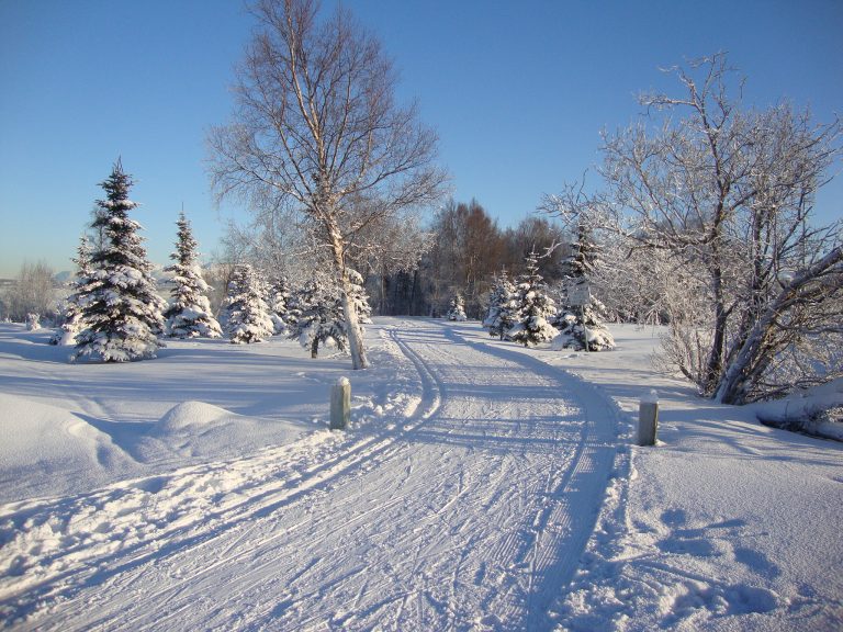 Tony Knowles Coastal Trail — Anchorage