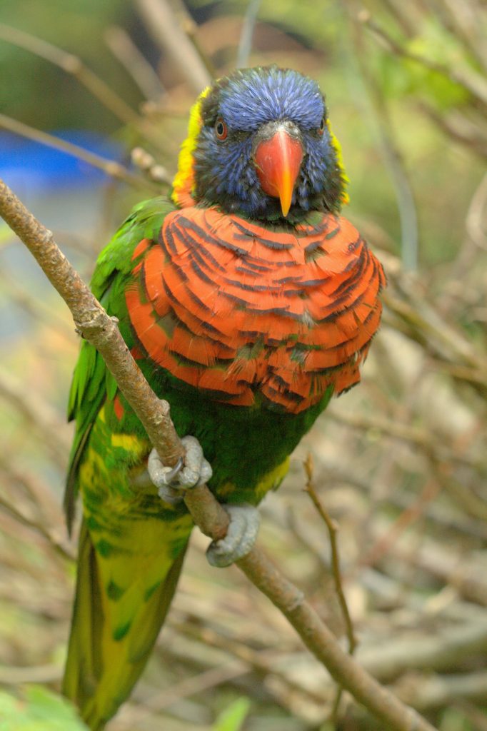 Oregon Zoo — Portland