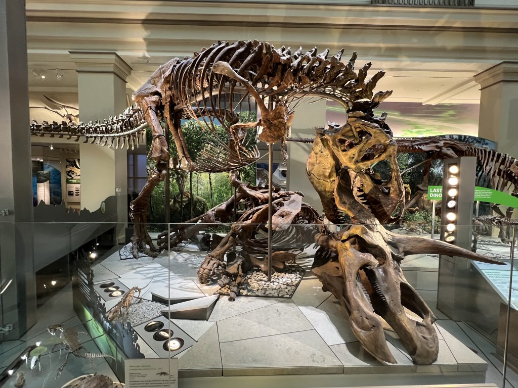 Smithsonian National Museum of Natural History — Washington
