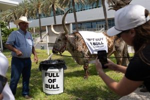 Abbott Targets Talarico At Texas Democratic Convention